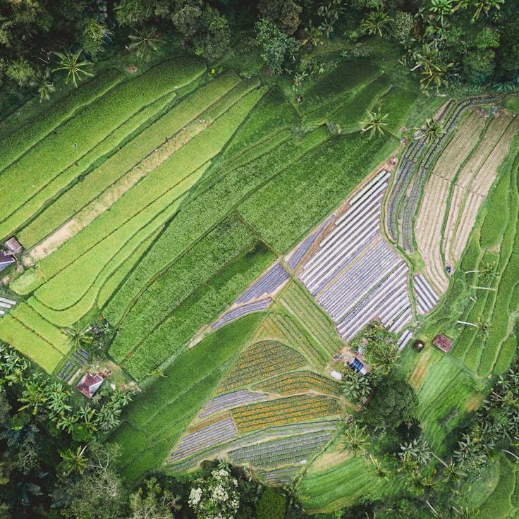 Outdoor terrace seating suitable for families in Pasadena